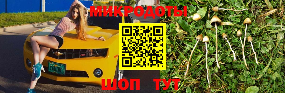Белгород  Псилоцибиновые грибы мухоморы  Вход с VPN 