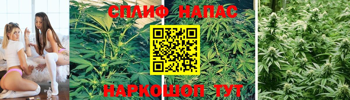 МАРИХУАНА конопля  Марихуана семена  Вход с VPN  Белгород  Марихуана тримм  Бошки марихуана White Widow 